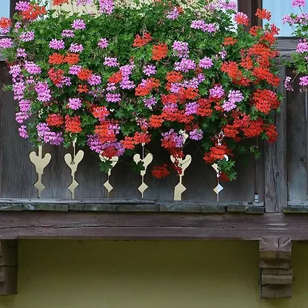 Müllnerbauer Apartment *