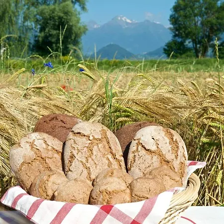 Apartment Müllnerbauer Penk