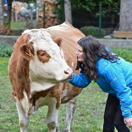 Muellnerbauer דירה Penk