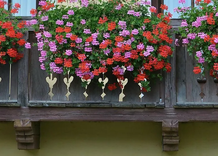 Muellnerbauer Daire *