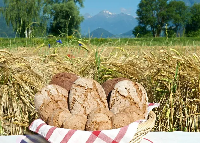 Apartment Müllnerbauer Penk