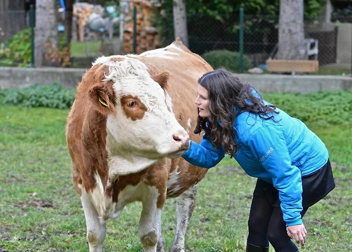 Müllnerbauer Apartment Penk